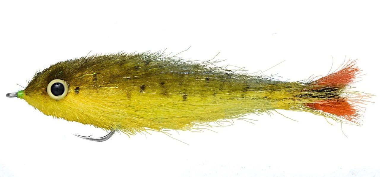 Enrico Puglisi Dorado Baby Saltwater Fly