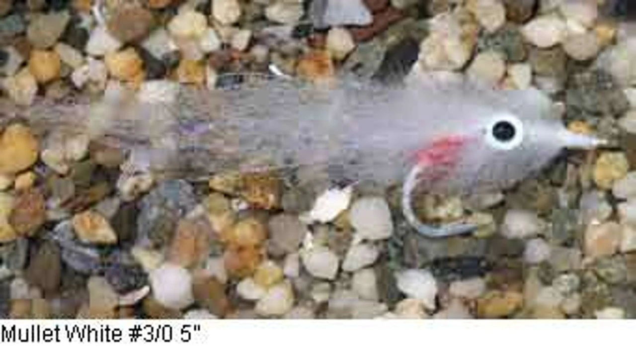 Enrico Puglisi Mullet Saltwater Fly - Image 2